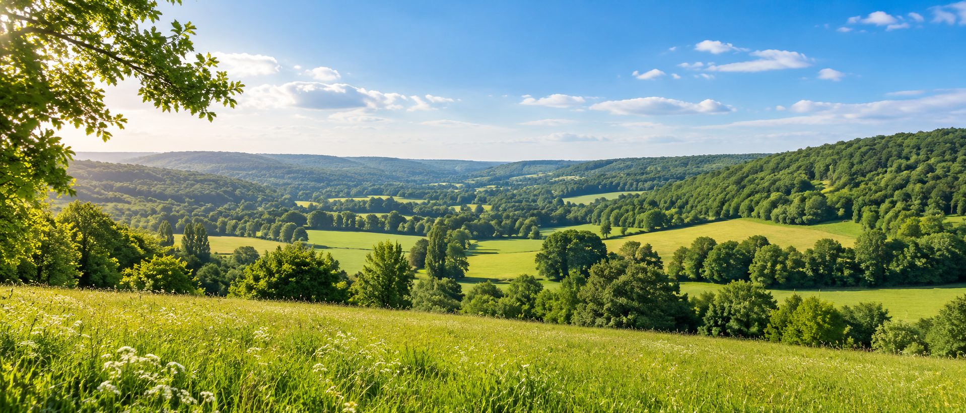 Paysage de la Vallée de Chevreuse